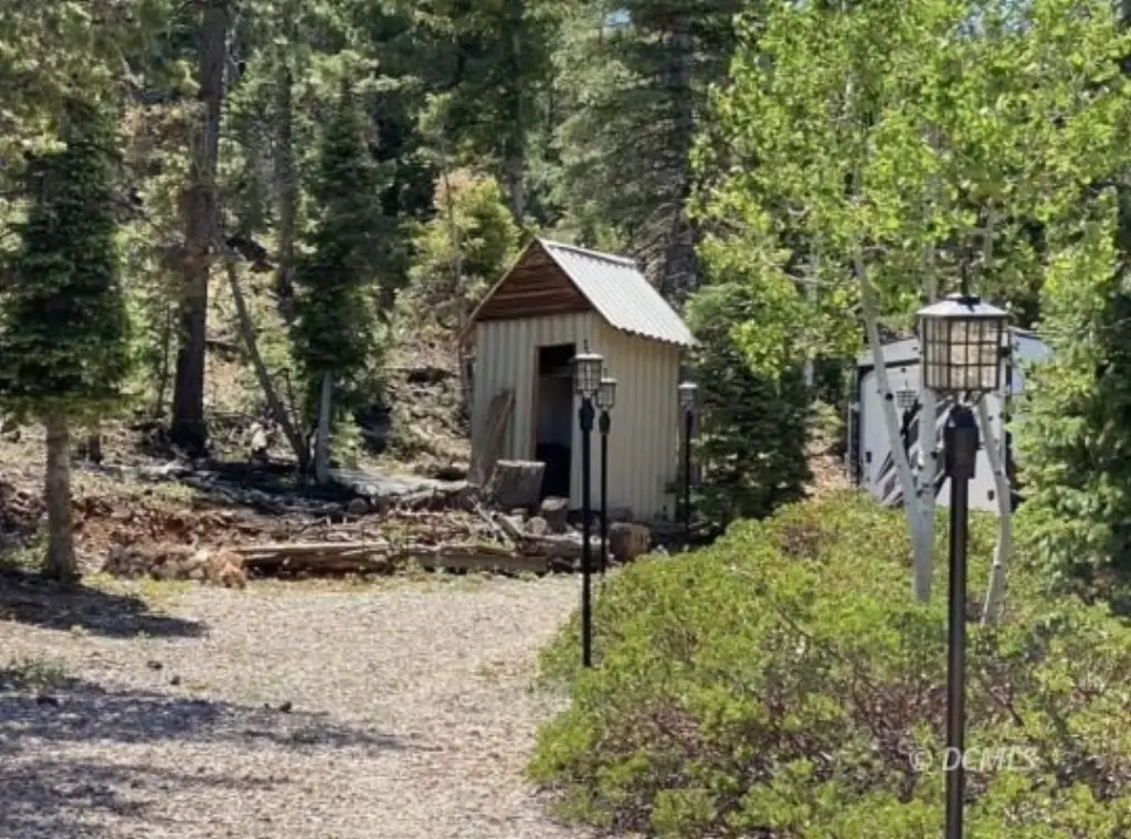 Picture 2