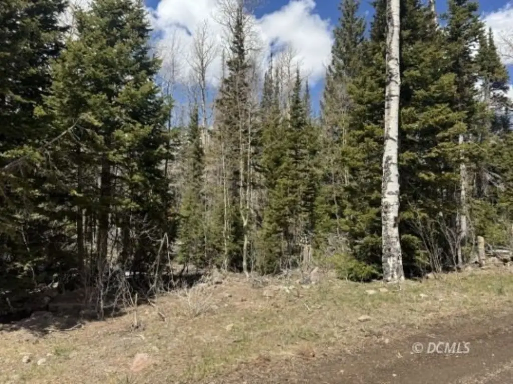 Picture 2
