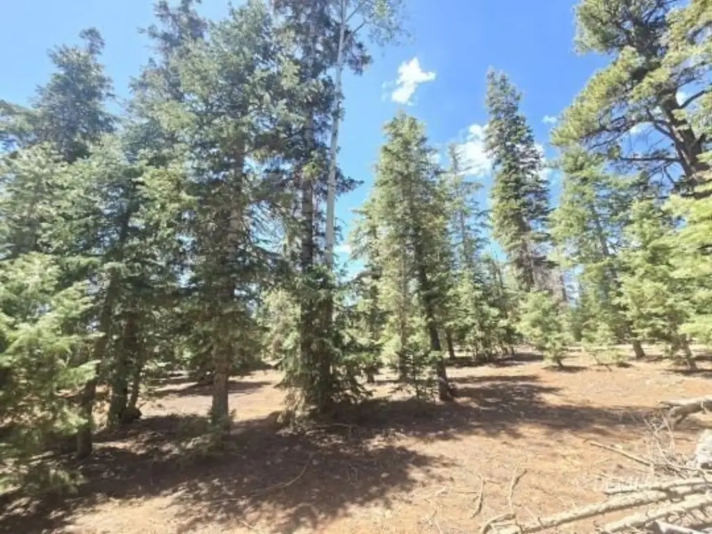 Picture 6