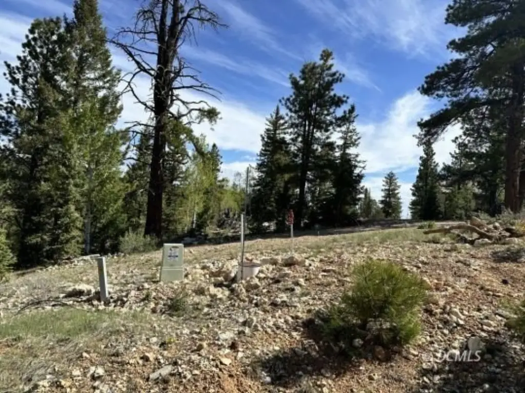 Picture 4