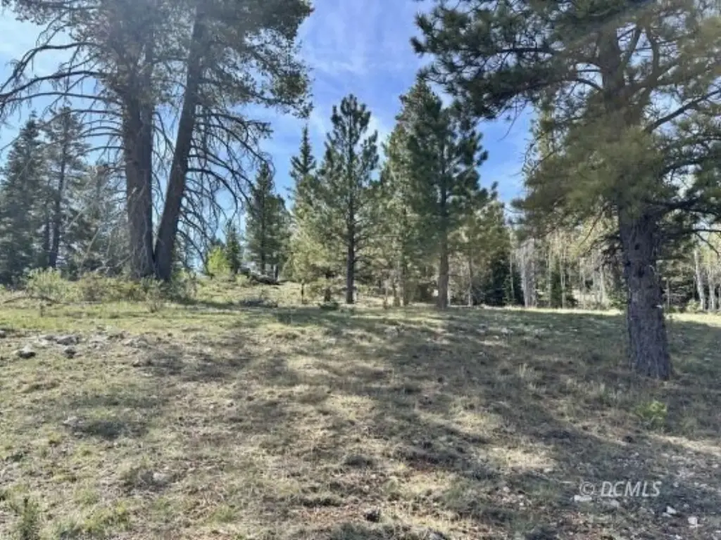 Picture 14