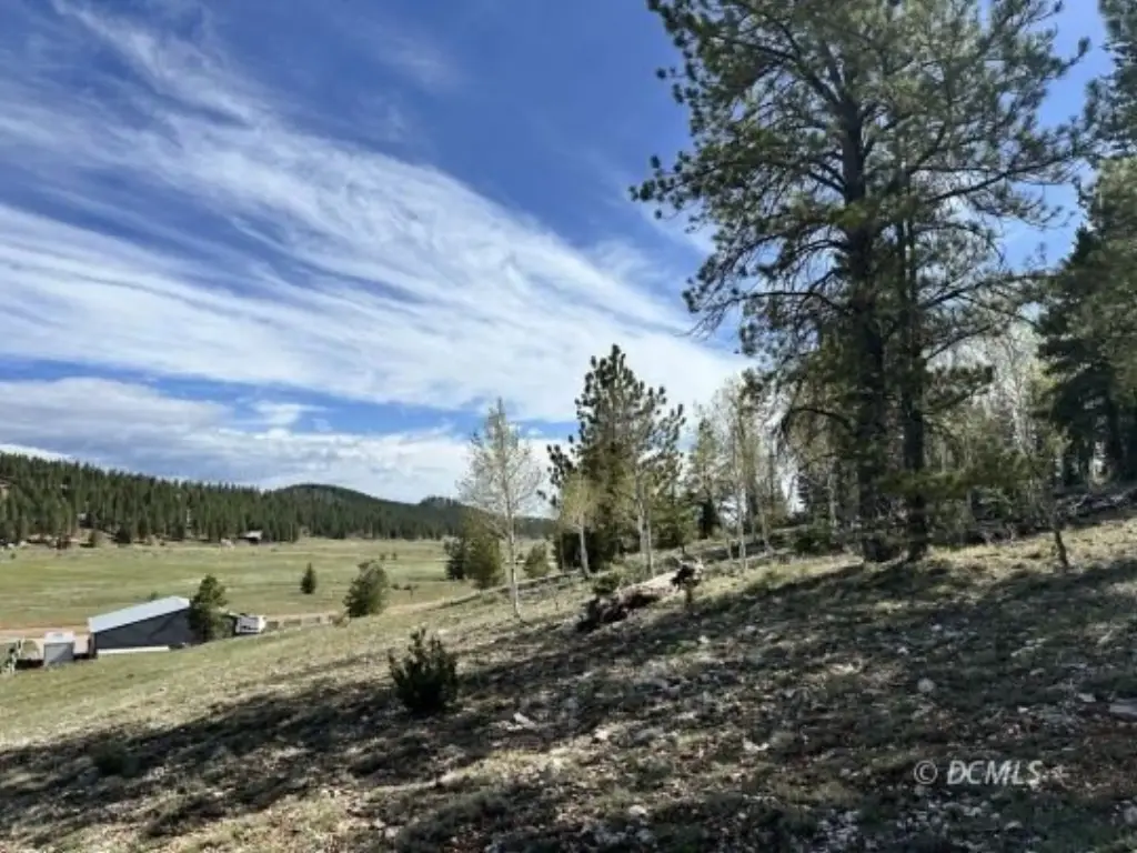 Picture 11