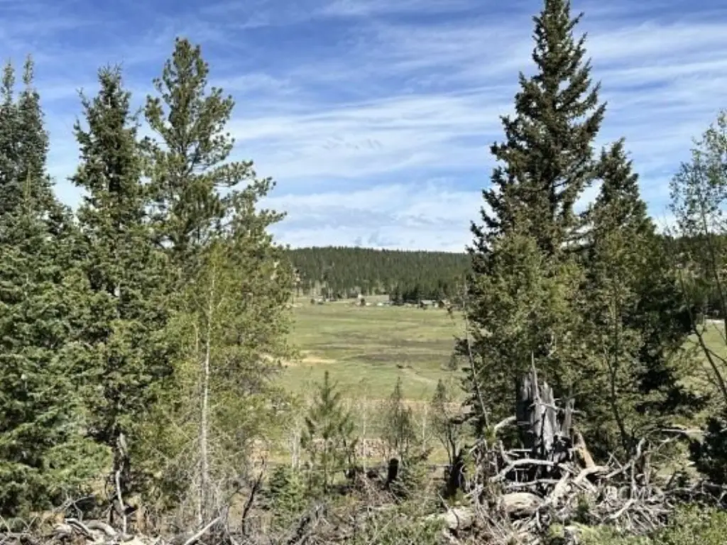 Picture 9