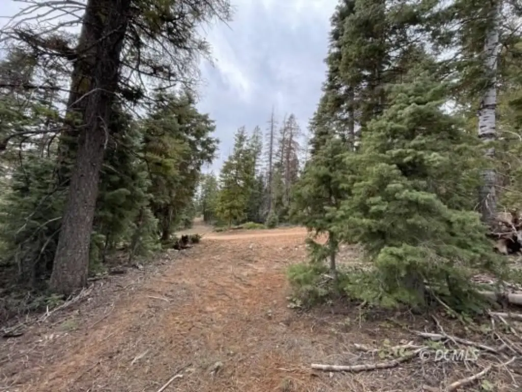 Picture 11