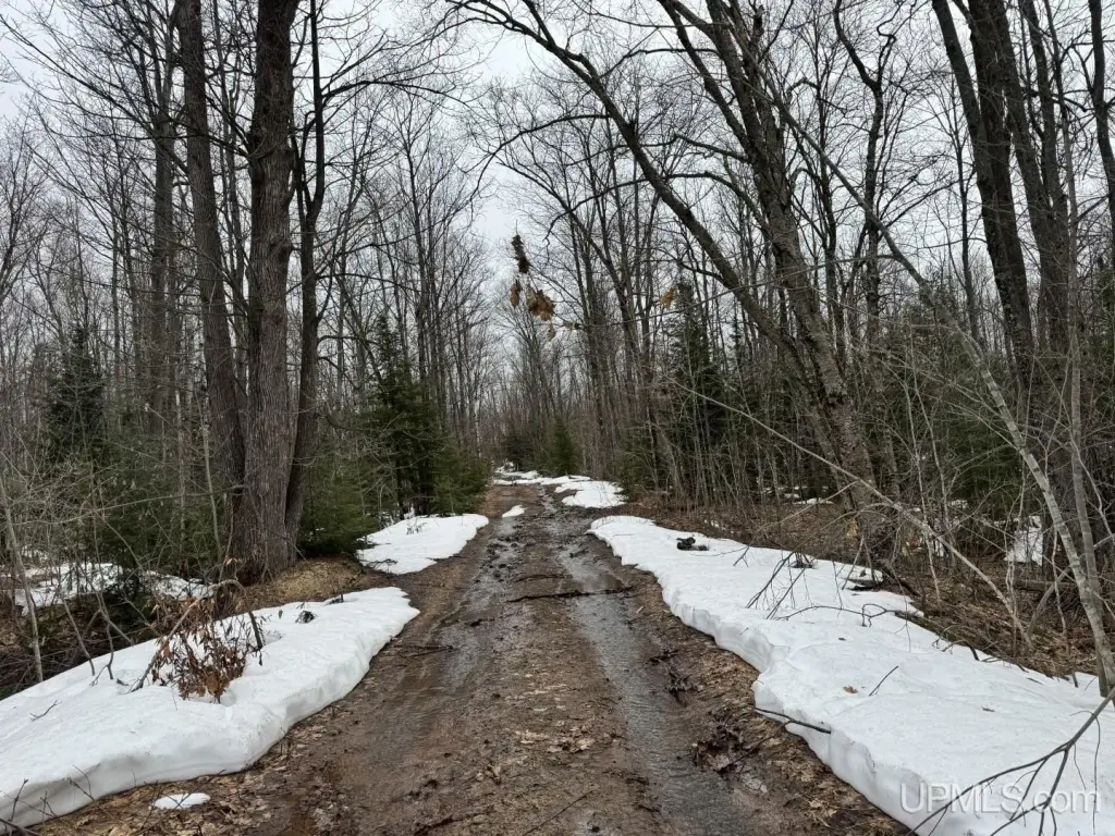 Picture 10