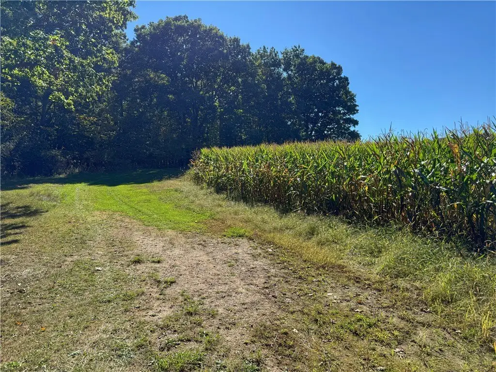 Picture 19