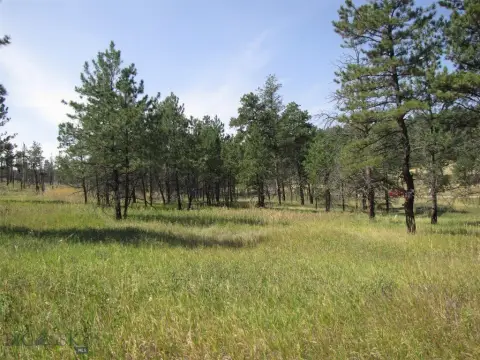 Secluded Montana Land with Pines