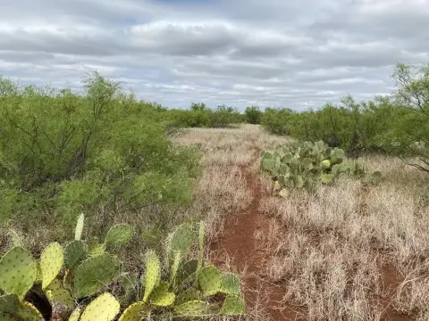 Westbrook Pasture Land with Hunting