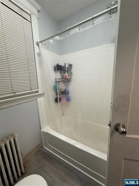 Picture 21