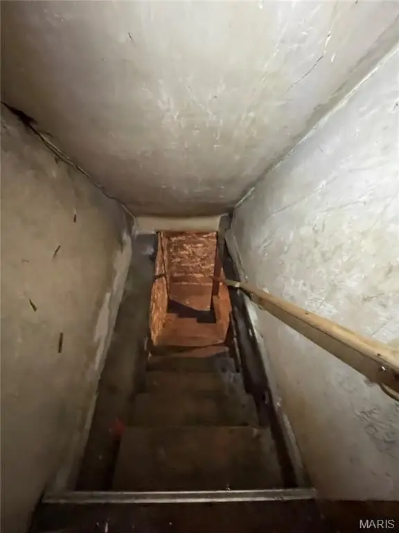Picture 28