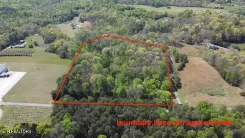 Serene Wooded 10-Acre Tract
