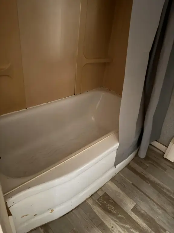Picture 12