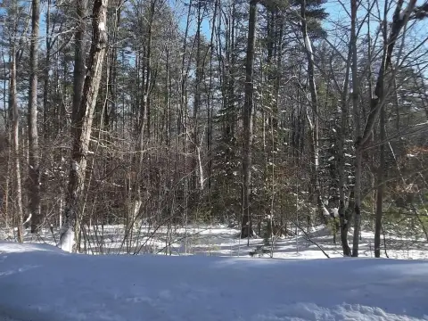Wooded Acreage in Jefferson, Maine
