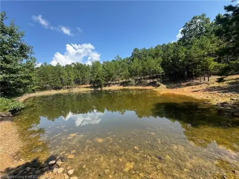 80 Acres of Arkansas Land