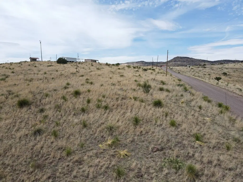 Picture 39