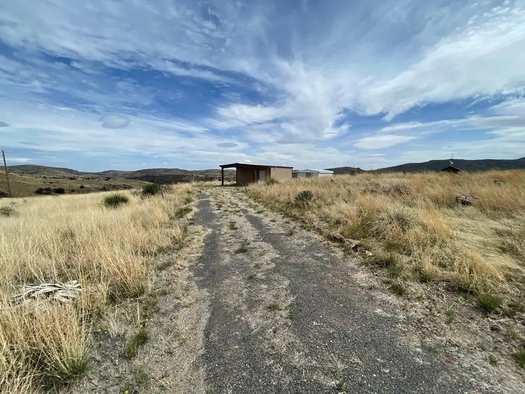 Picture 23