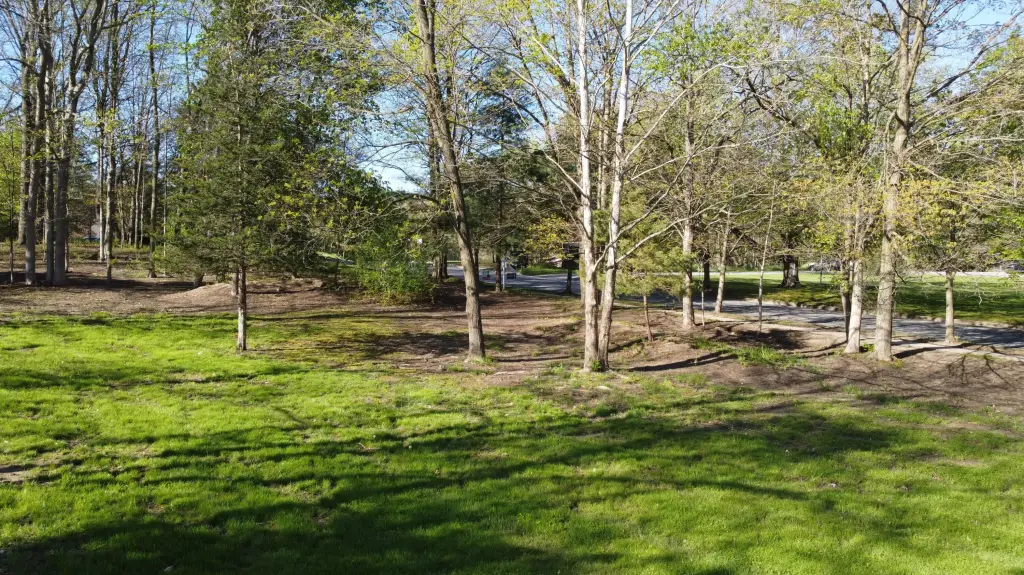 Picture 4