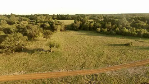 10.09 Acres in Mt Pleasant