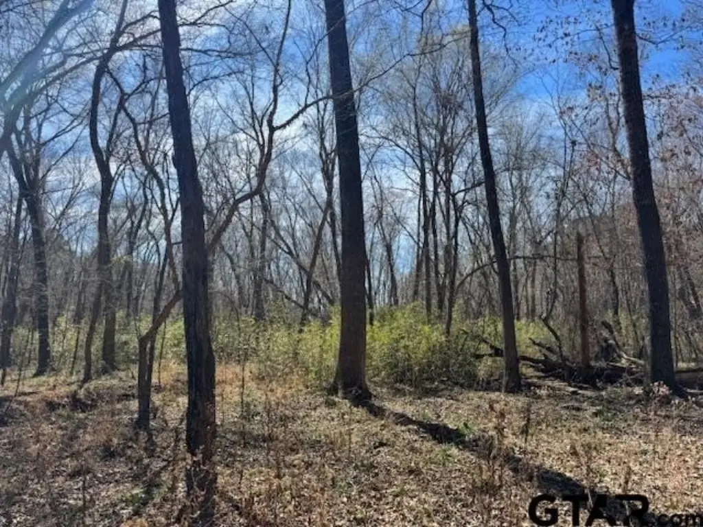 Picture 6