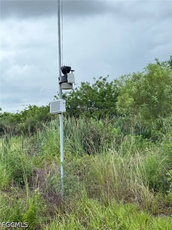 Picture 9