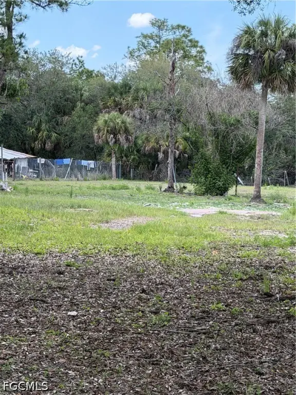 Picture 2