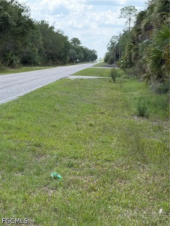 Picture 8