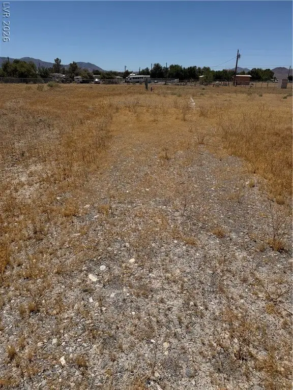 Picture 7