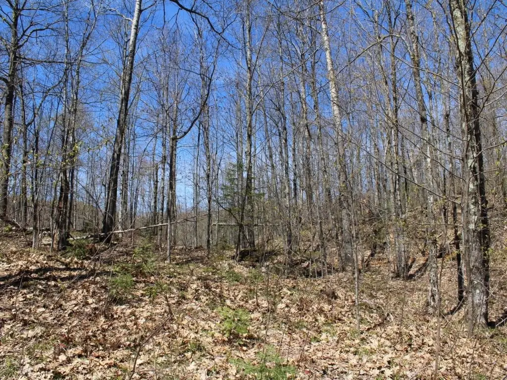 Picture 36