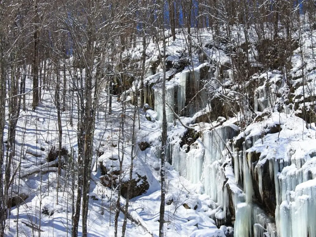 Picture 5