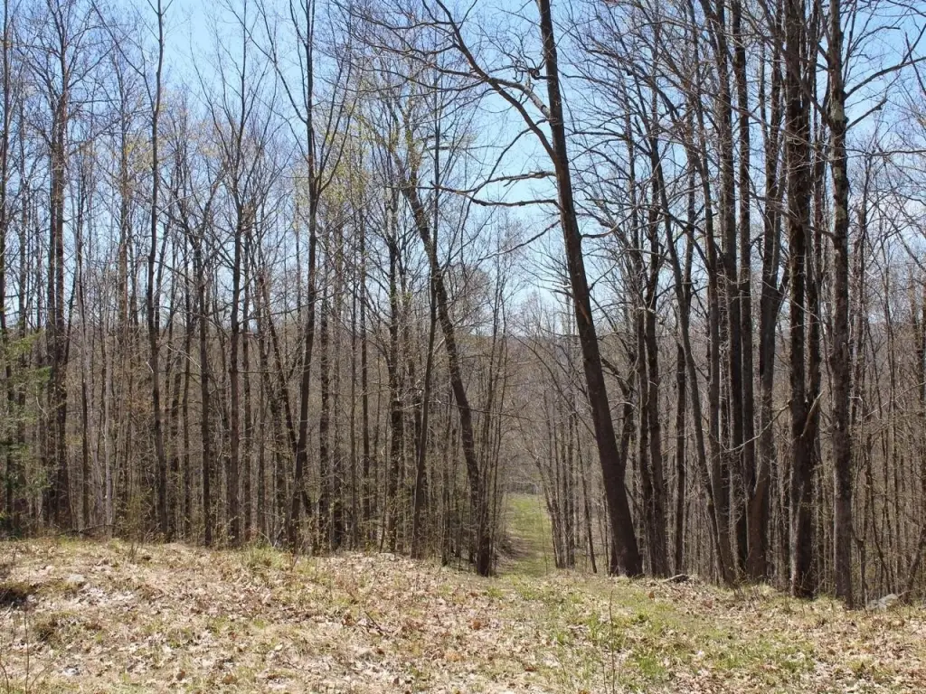 Picture 12