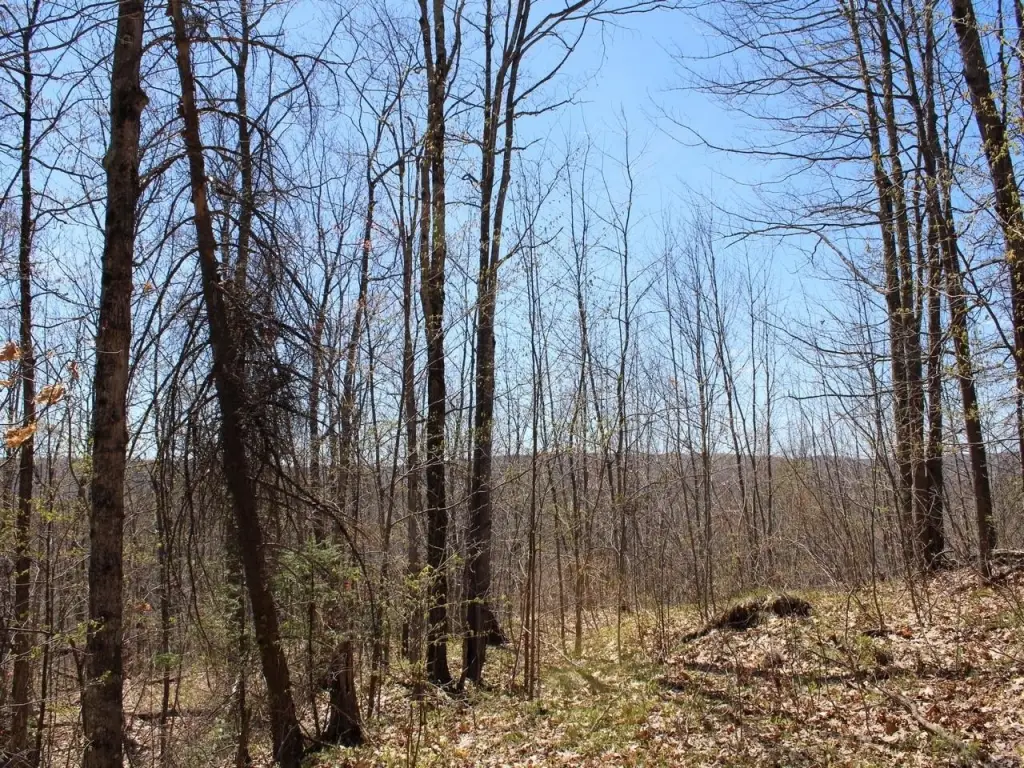 Picture 10