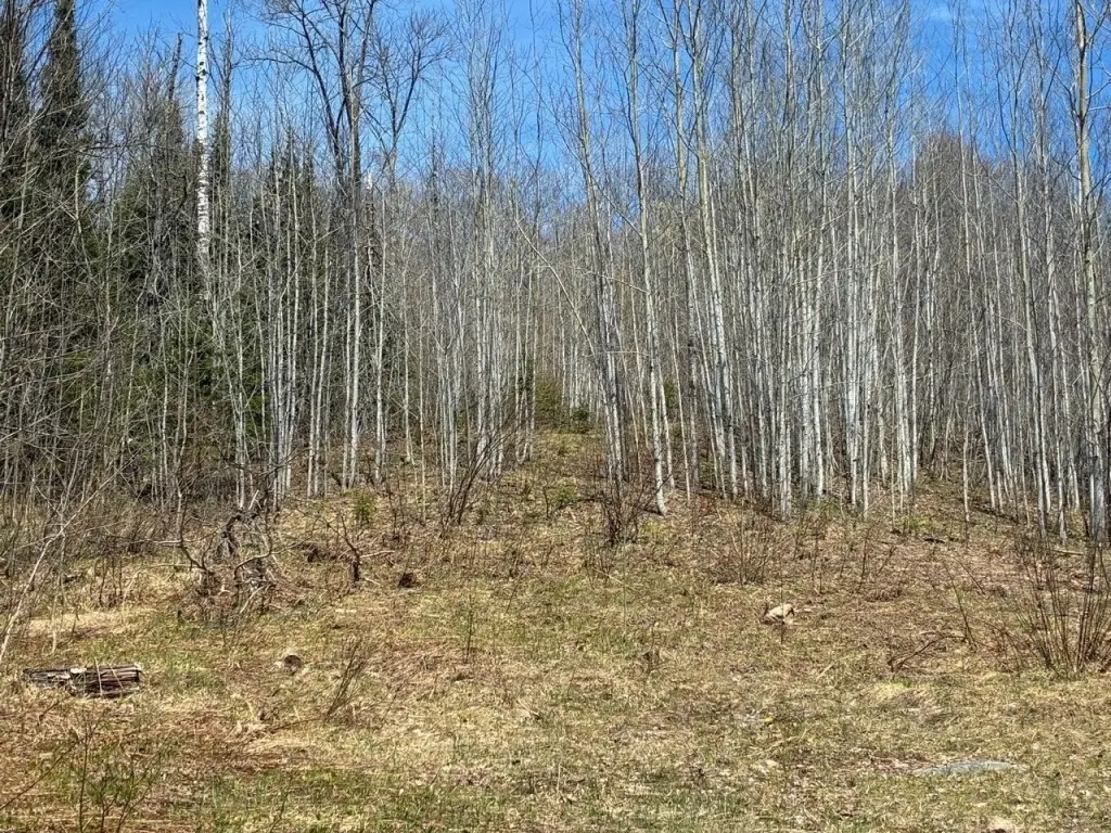Picture 38