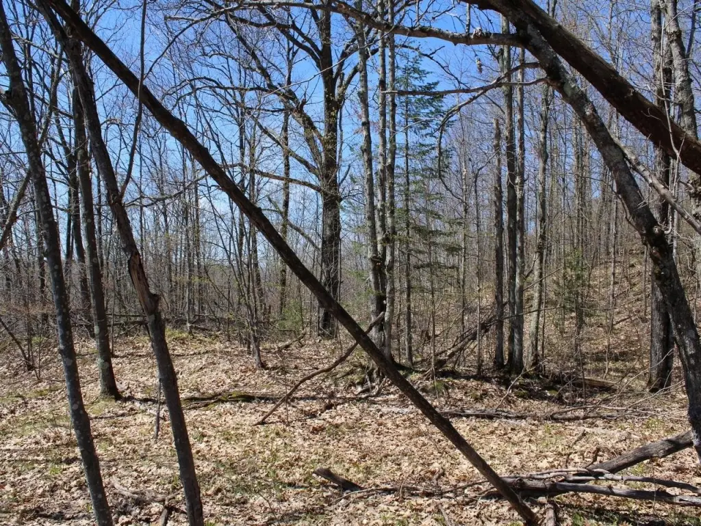 Picture 14
