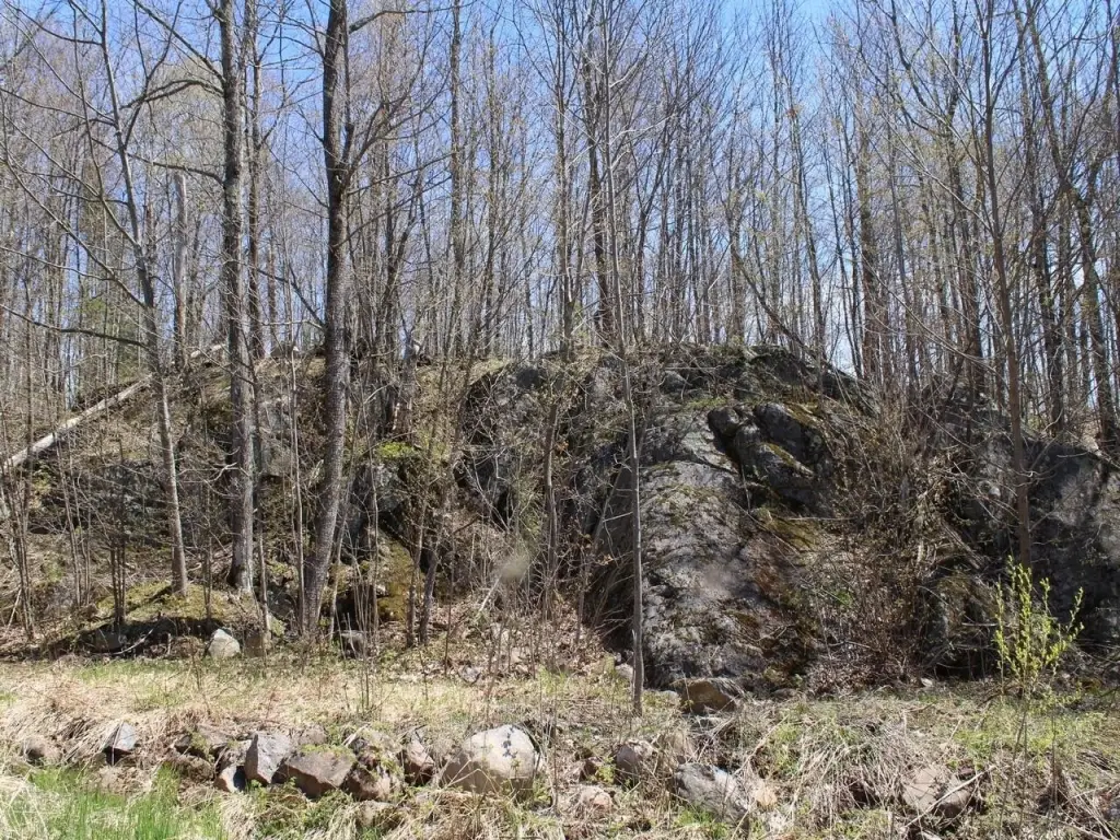Picture 19