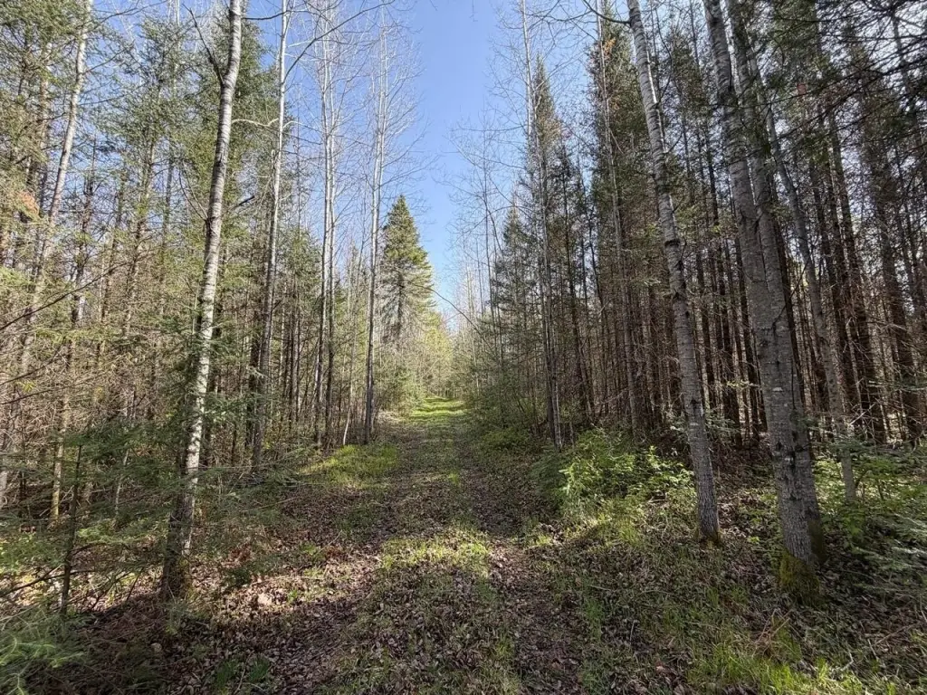 Picture 29