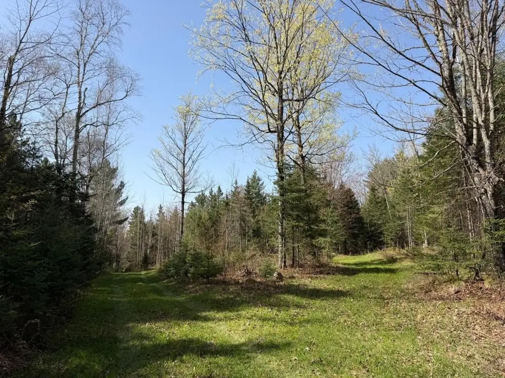Picture 36