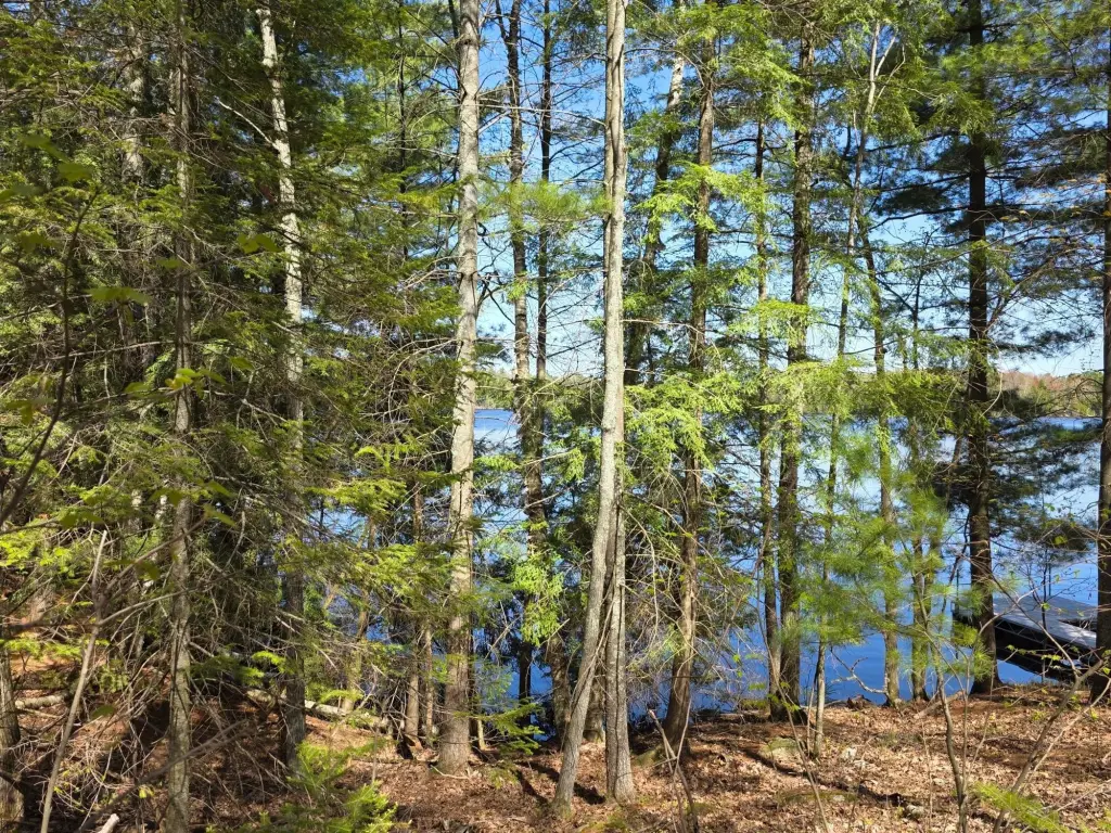 Picture 2