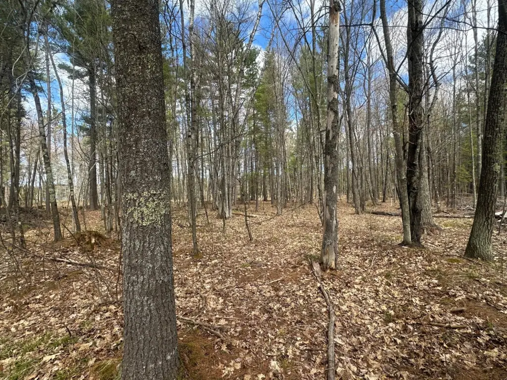 Picture 9