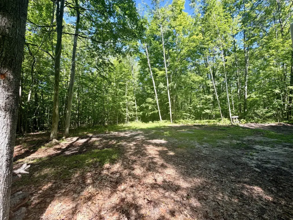 Picture 11