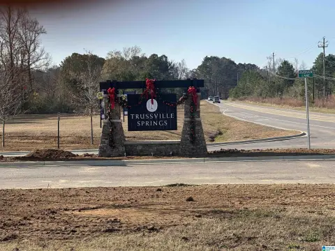 Commercial Land in Trussville, AL