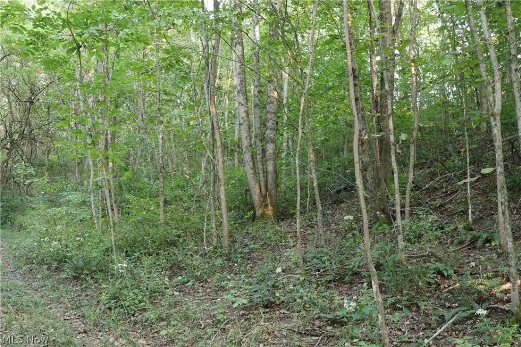 Picture 31