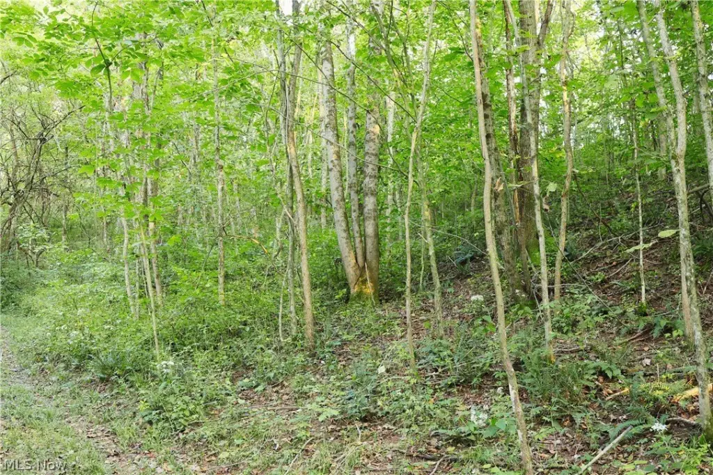 Picture 30