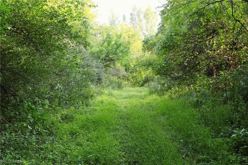 Picture 35