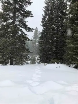 Lake Almanor Front Lot