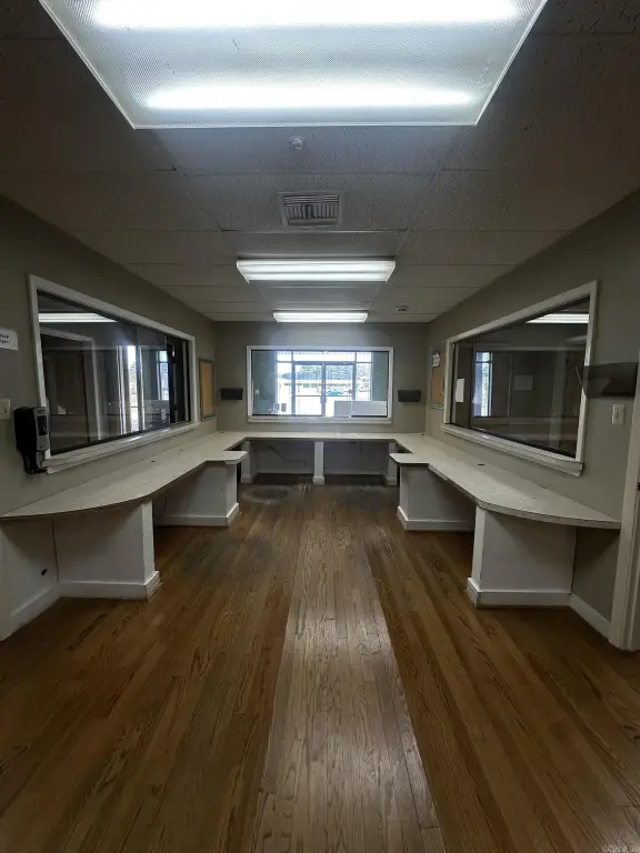 Picture 7
