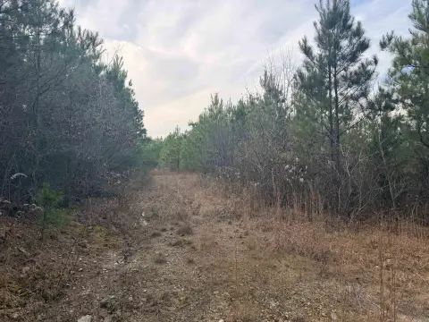 Mena, AR Acreage For Sale