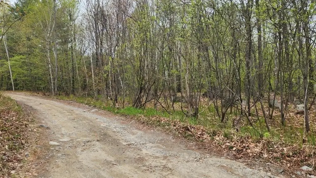 Picture 3