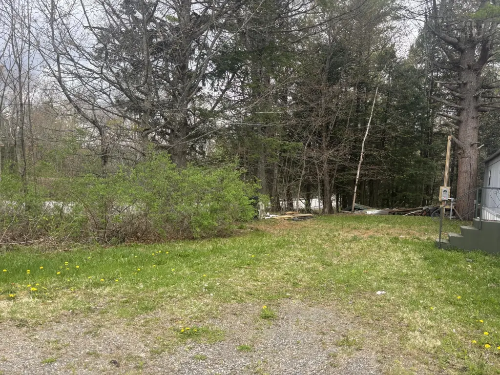 Picture 5