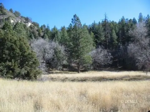Duck Creek Village Vacant Land