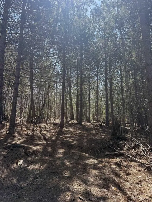 Picture 12
